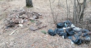 На горе Бешпек в Чемале прокуратура обнаружила свалки На горе Бешпек в Чемале прокуратура обнаружила свалки