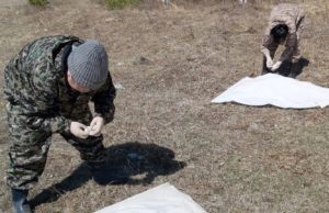 Уже 87 человек стали жертвами клещей на Алтае