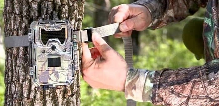Житель Балыкчи, собиравший рога в Алтайском заповеднике, заодно утащил фотоловушку
