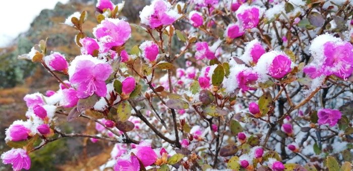 Ближайшие дни будут прохладными, преимущественно без осадков