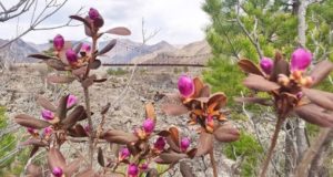 Синоптики прогнозируют дальнейшее потепление Синоптики прогнозируют дальнейшее потепление