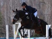 Соревнования по конному спорту прошли в Горно-Алтайске Соревнования по конному спорту прошли в Горно-Алтайске