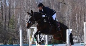 Соревнования по конному спорту прошли в Горно-Алтайске