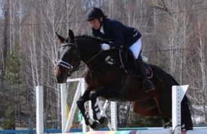 Соревнования по конному спорту прошли в Горно-Алтайске