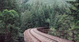 Проект железной дороги в Китай через Горный Алтай вновь на повестке дня РЖД