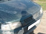 Пьяный водитель сбил трехлетнего ребенка Пьяный водитель сбил трехлетнего ребенка