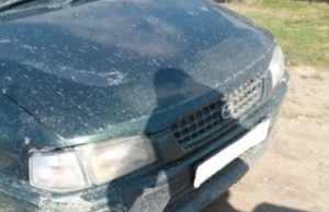 Пьяный водитель сбил трехлетнего ребенка Пьяный водитель сбил трехлетнего ребенка