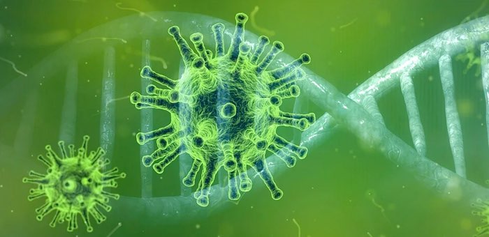78 человек заболели коронавирусом за неделю