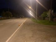 Мотоциклистка поздно вечером сбила лошадь Мотоциклистка поздно вечером сбила лошадь