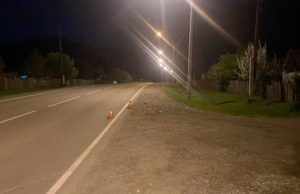 Мотоциклистка поздно вечером сбила лошадь Мотоциклистка поздно вечером сбила лошадь
