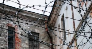 Вынесен приговор женщине, жестоко убившей пожилого родственника Вынесен приговор женщине, жестоко убившей пожилого родственника