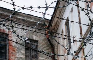 Вынесен приговор женщине, жестоко убившей пожилого родственника Вынесен приговор женщине, жестоко убившей пожилого родственника