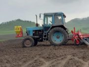Посевная площадь в Республике Алтай составит 105 тыс. га Посевная площадь в Республике Алтай составит 105 тыс. га