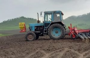 Посевная площадь в Республике Алтай составит 105 тыс. га