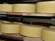 СПК «Абайский» и Чергинский маслосырзавод получат гранты на развитие производства