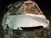 На Чуйском тракте иномарка врезалась в лошадей, выскочивших на дорогу