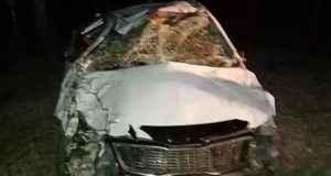 На Чуйском тракте иномарка врезалась в лошадей, выскочивших на дорогу На Чуйском тракте иномарка врезалась в лошадей, выскочивших на дорогу