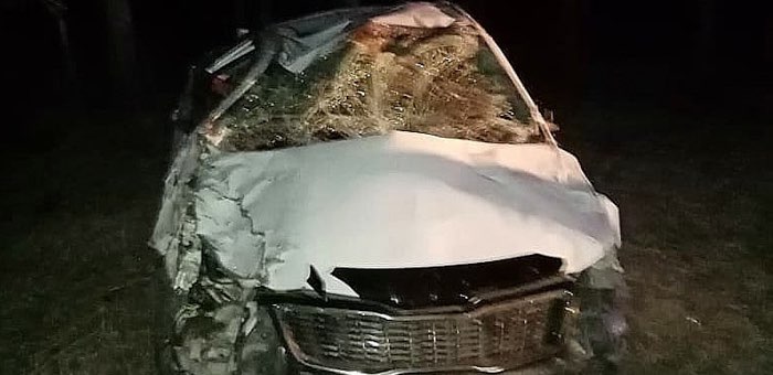 На Чуйском тракте иномарка врезалась в лошадей, выскочивших на дорогу
