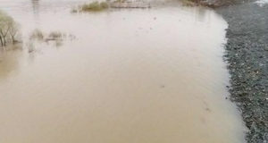 МЧС предупреждает: в Удаловке возможен подъем уровня воды в реке Бия МЧС предупреждает: в Удаловке возможен подъем уровня воды в реке Бия