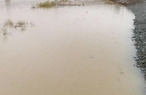 МЧС предупреждает: в Удаловке возможен подъем уровня воды в реке Бия МЧС предупреждает: в Удаловке возможен подъем уровня воды в реке Бия