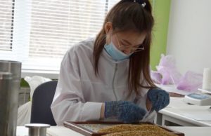 Студентка аграрного колледжа стала финалистом чемпионата «Молодые профессионалы» Студентка аграрного колледжа стала финалистом чемпионата «Молодые профессионалы»