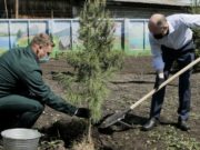 Акция «Сад памяти» прошла в Горно-Алтайске Акция «Сад памяти» прошла в Горно-Алтайске