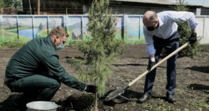 Акция «Сад памяти» прошла в Горно-Алтайске Акция «Сад памяти» прошла в Горно-Алтайске