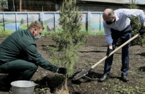 Акция «Сад памяти» прошла в Горно-Алтайске Акция «Сад памяти» прошла в Горно-Алтайске