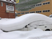 Международный день климата. Почему он важен для Алтая