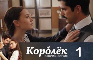 Причины успеха турецких сериалов в странах СНГ Причины успеха турецких сериалов в странах СНГ