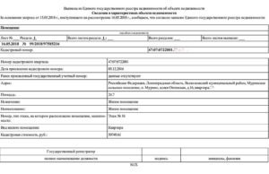 Выписка ЕГРП. Сведения в документе и как его получить