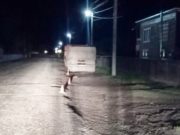 Пьяный мотоциклист без прав врезался в автоприцеп, стоявший на обочине Пьяный мотоциклист без прав врезался в автоприцеп, стоявший на обочине