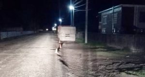 Пьяный мотоциклист без прав врезался в автоприцеп, стоявший на обочине Пьяный мотоциклист без прав врезался в автоприцеп, стоявший на обочине