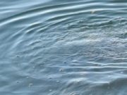 Два ребенка утонули в водоемах республики Два ребенка утонули в водоемах республики