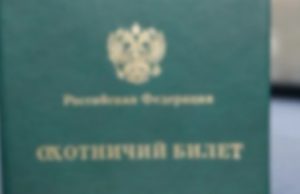 Как получить охотничий билет в России