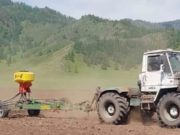 На посевную в Республике Алтай потребуется 11 тыс. тонн семян