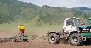 На посевную в Республике Алтай потребуется 11 тыс. тонн семян