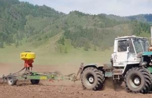 На посевную в Республике Алтай потребуется 11 тыс. тонн семян