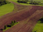 Пекарня и 12 земельных участков уйдут с молотка Пекарня и 12 земельных участков уйдут с молотка