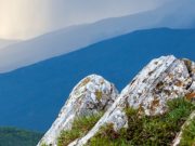 Прогноз погоды: около 20 градусов тепла, кратковременные дожди Прогноз погоды: около 20 градусов тепла, кратковременные дожди