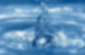 Бойлеры для нагрева воды