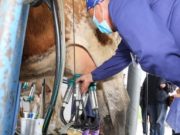 Лучшие доярки республики приняли участие в конкурсе профессионального мастерства Лучшие доярки республики приняли участие в конкурсе профессионального мастерства