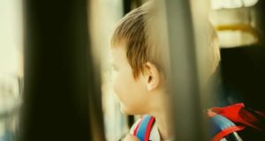 Владельца автобуса, из которого высадили 10-летнего безбилетного ребенка, оштрафовали Владельца автобуса, из которого высадили 10-летнего безбилетного ребенка, оштрафовали
