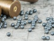 Утверждены лимиты добычи охотничьих ресурсов в Республике Алтай Утверждены лимиты добычи охотничьих ресурсов в Республике Алтай