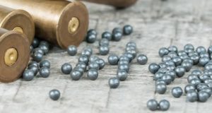 Утверждены лимиты добычи охотничьих ресурсов в Республике Алтай Утверждены лимиты добычи охотничьих ресурсов в Республике Алтай