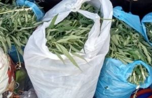 Возле Курая задержали местных жителей с полным багажником марихуаны
