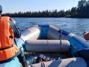 На Бии перевернулась моторная лодка, сын-подросток выплыл, отца ищут На Бии перевернулась моторная лодка, сын-подросток выплыл, отца ищут