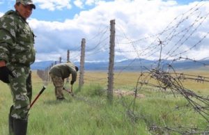 Еще 14 километров колючей проволоки демонтируют на Укоке на границе с Монголией Еще 14 километров колючей проволоки демонтируют на Укоке на границе с Монголией