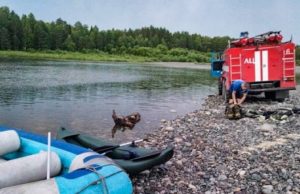Два человека утонули на реке Лебедь Два человека утонули на реке Лебедь