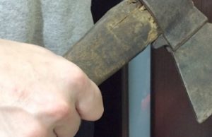 «Черный лесоруб» в Чемальском районе нарубил лиственниц на 900 тысяч рублей